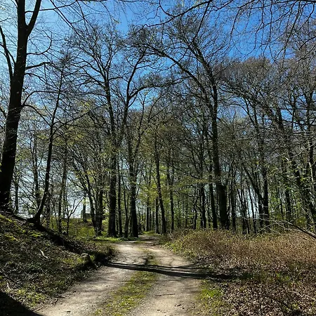 Summer House With Forest View Near Hejsager